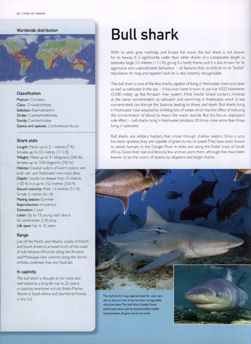 The Encyclopedia of Sharks - Parker,S. 2008